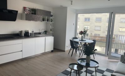Brand new Listing in City Center with Terrace- 4a