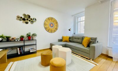 Brand new Cosy 2 bedrooms in the heart of center – 9b