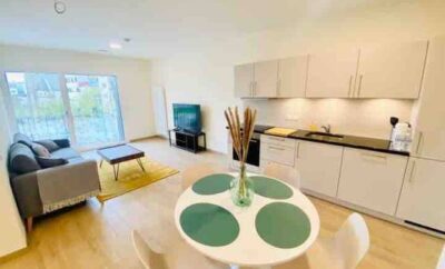 Luxury 2023 Flat in city center. Free Parking – HOL 1