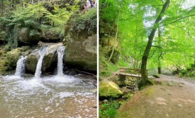 Best Trails and Hikes in Luxembourg