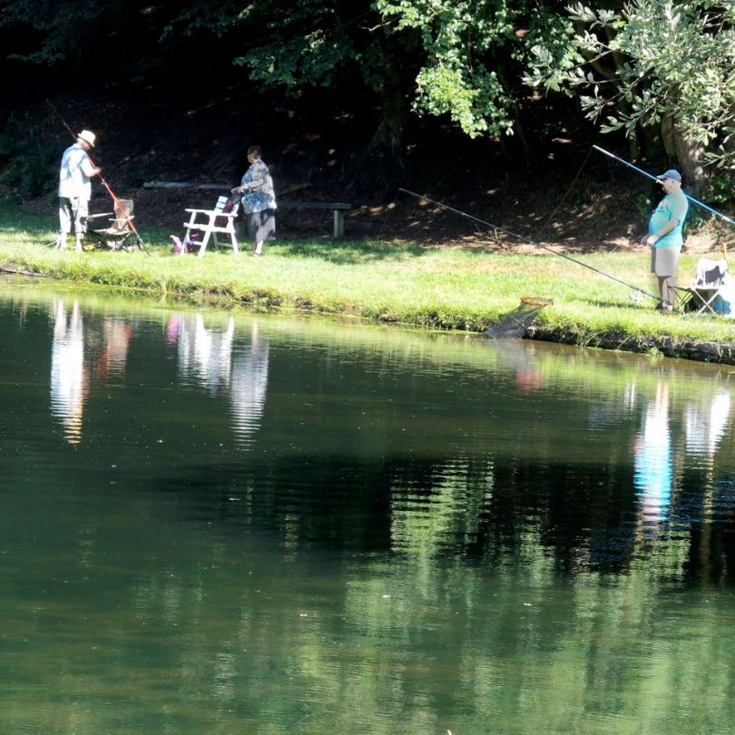 Fish-ponds Fischbach