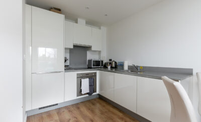 Skyvillion Apartments – 127 Tower Point