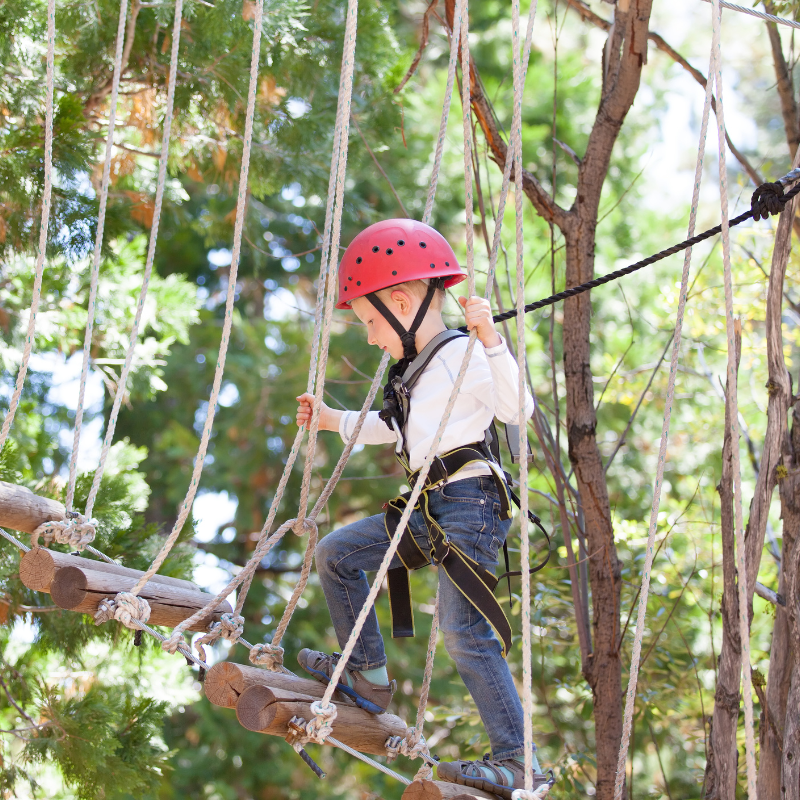 Adventure Parks in Luxembourg