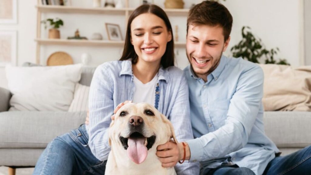 Pet-friendly Serviced Apartments