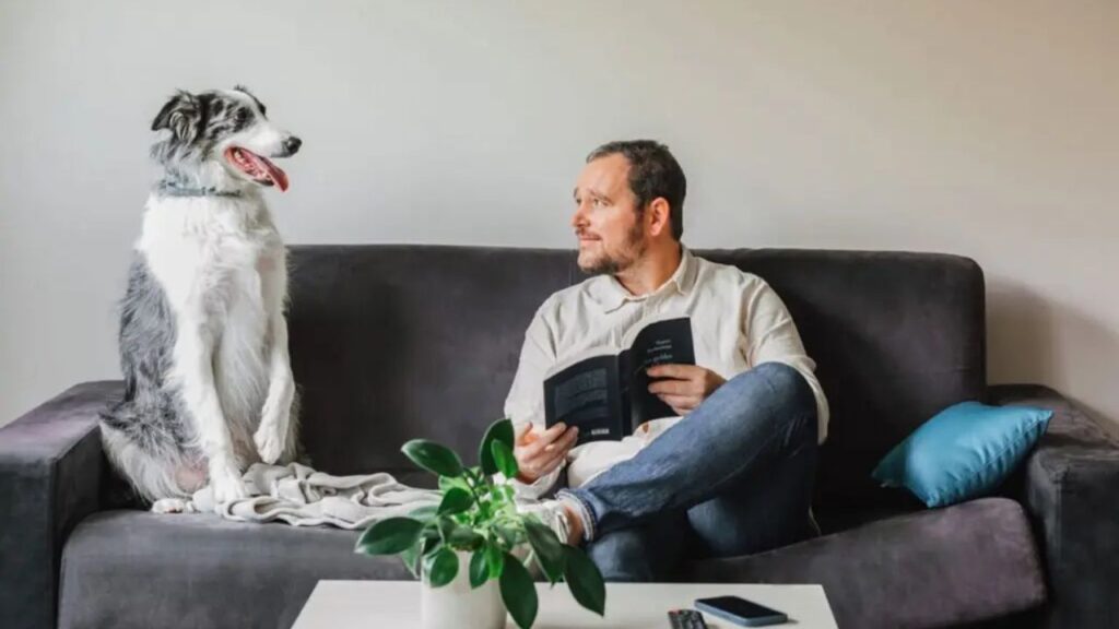 Pet-friendly Serviced Apartments