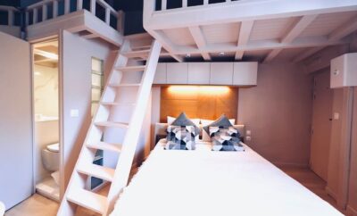 Marais cozy apt newly renovated!