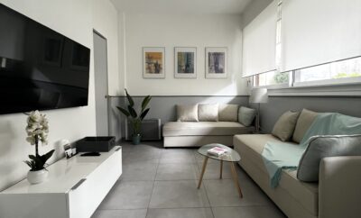 Spacious and renovated 1 bedroom apartment