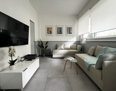 Spacious and renovated 1 bedroom apartment